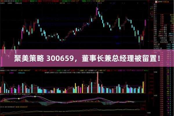 聚美策略 300659，董事长兼总经理被留置！